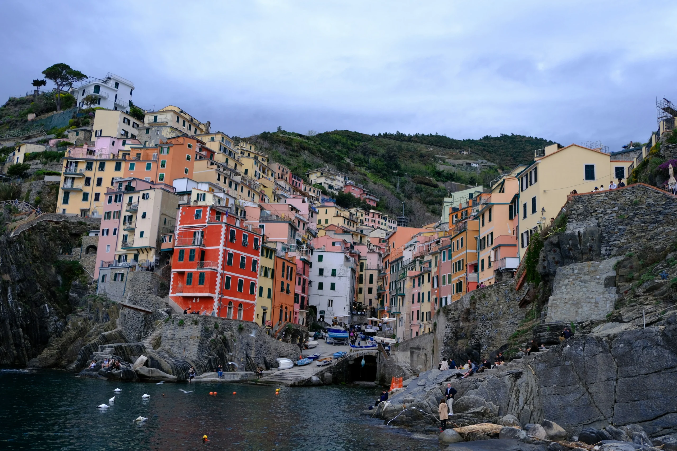 Riomaggiore harbour Cinque Terre